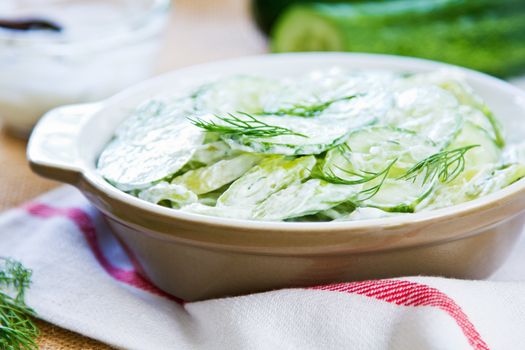 Cucumber with Celery and Dill salad in yogurt dressing