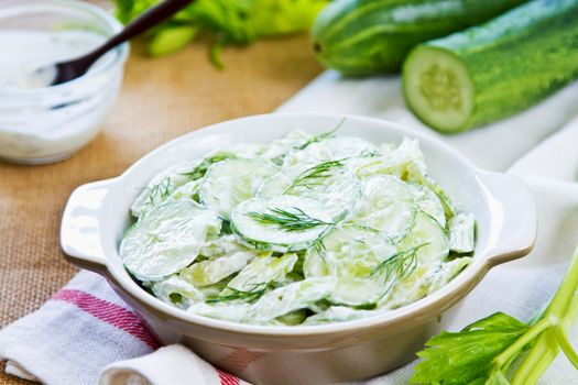 Cucumber with Celery and Dill salad in yogurt dressing