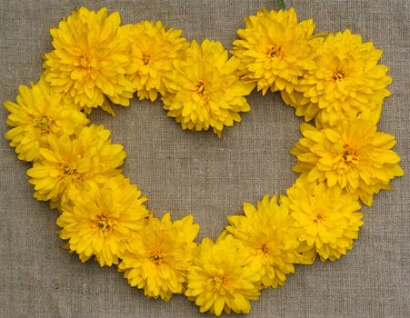 Frame of yellow flowers in the form of heart against a background of rough cloth                               