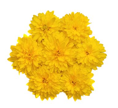 A composition in the form of a flower of yellow flowers isolated                               