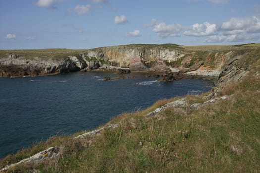 Cliff top plants lead to the geological features of Rhoscolyn bay, Wales coast path, Anglesey, Wales, UK.