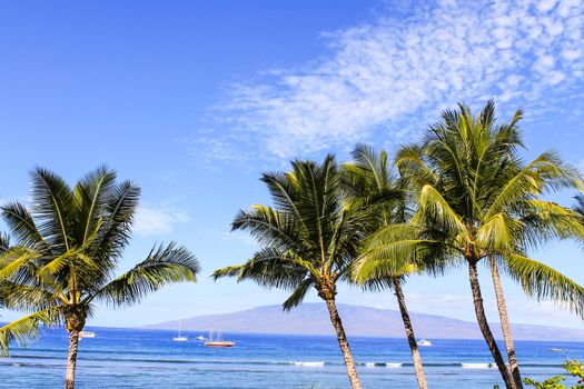 Palm trees on the Maui beach, boats in the Pacific Ocean and Lanai Island in the background