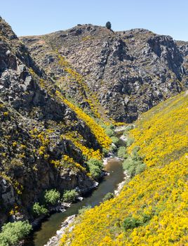 Railway track of Taieri Gorge tourist railway runs alongside river in a ravine on its journey up the valley