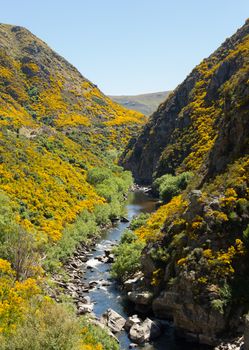 Railway track of Taieri Gorge tourist railway runs alongside river in a ravine on its journey up the valley