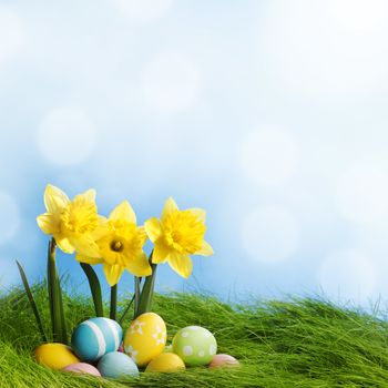 Easter eggs at the foot of a daffodil plant and fresh green grass