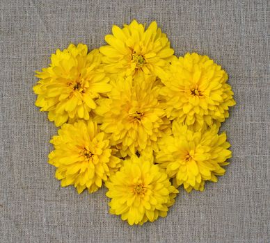 A composition in the form of a flower of yellow flowers                               