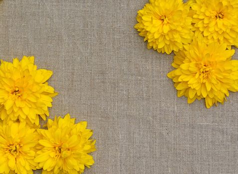 Frame of yellow flowers against a background of rough cloth