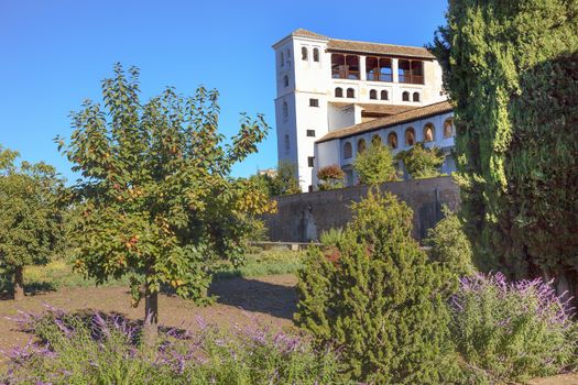 Generallife Alhambra White Palace Orange Tree Garden Granada Andalusia Spain