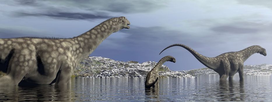 Argentinosaurus dinosaurs family walking in the water by morning light - 3D render