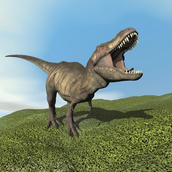 Tyrannosaurus dinosaur walking on the grass by day - 3D render