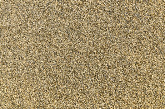brown empty beach sand surface texture background
