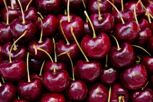 fresh cherries background