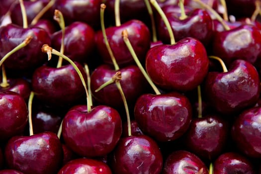 fresh cherries background