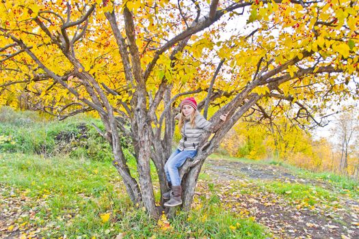Photo of cute girl in autumn sit on tree