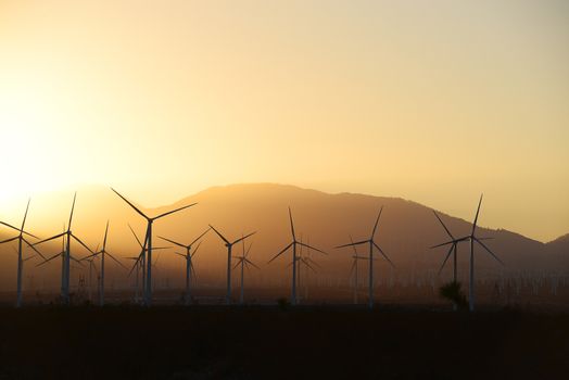 wind mill farm in california desert