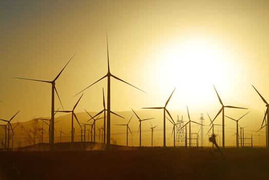 wind mill farm in california desert