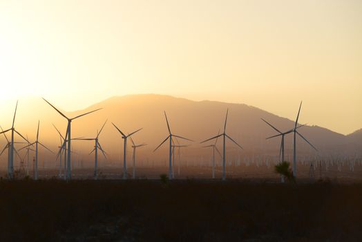 wind mill farm in california desert