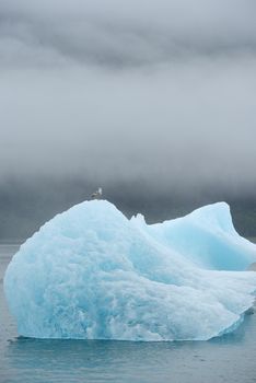 blue iceberg floating in alaska