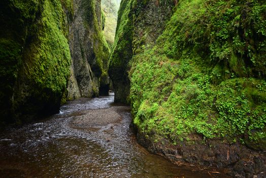 green wall in a gorge in oregon