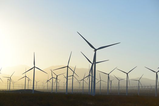 wind mill farm in california desert