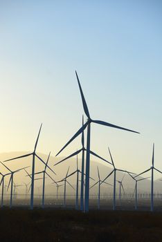 wind mill farm in california desert