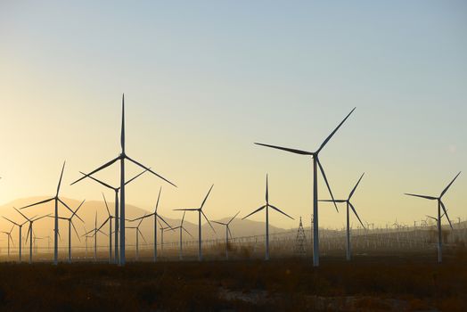 wind mill farm in california desert