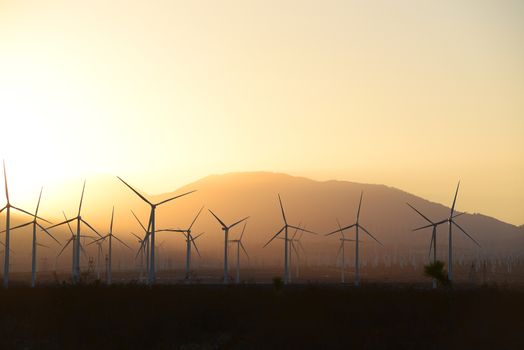 wind mill farm in california desert