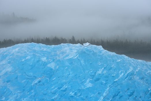 blue iceberg floating in alaska