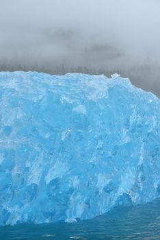 blue iceberg floating in alaska