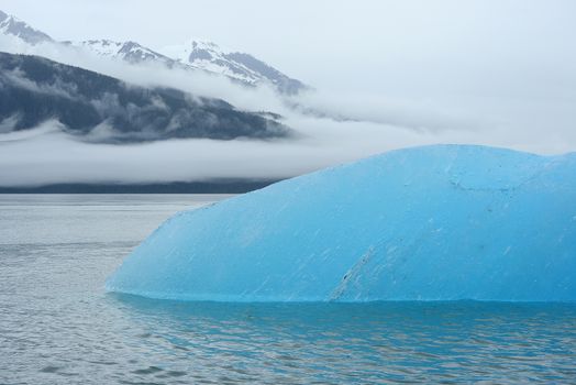 blue iceberg floating in alaska