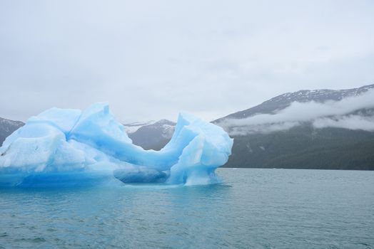 blue iceberg floating in alaska