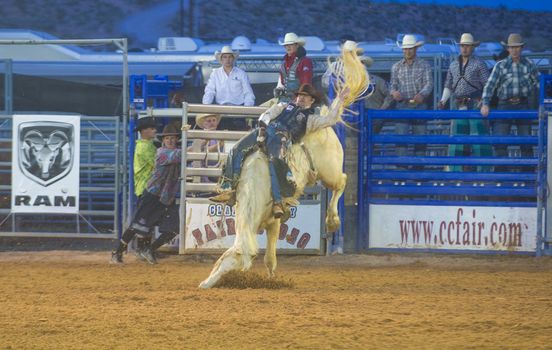 LOGANDALE , NEVADA - APRIL 10 : Cowboy Participating in a Bucking Horse Competition at the Clark County Fair and Rodeo a Professional Rodeo held in Logandale Nevada , USA on April 10 2014 