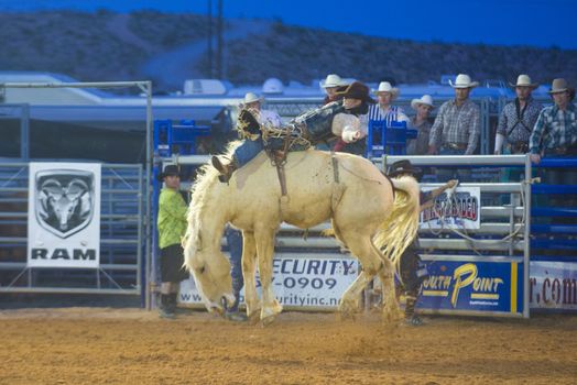 LOGANDALE , NEVADA - APRIL 10 : Cowboy Participating in a Bucking Horse Competition at the Clark County Fair and Rodeo a Professional Rodeo held in Logandale Nevada , USA on April 10 2014 