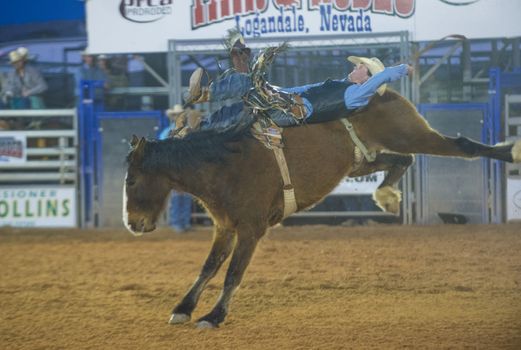 LOGANDALE , NEVADA - APRIL 10 : Cowboy Participating in a Bucking Horse Competition at the Clark County Fair and Rodeo a Professional Rodeo held in Logandale Nevada , USA on April 10 2014 