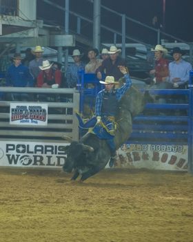 LOGANDALE , NEVADA - APRIL 10 : Cowboy Participating in a Bull riding Competition at the Clark County Fair and Rodeo a Professional Rodeo held in Logandale Nevada , USA on April 10 2014 