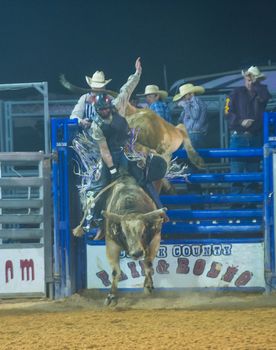 LOGANDALE , NEVADA - APRIL 10 : Cowboy Participating in a Bull riding Competition at the Clark County Fair and Rodeo a Professional Rodeo held in Logandale Nevada , USA on April 10 2014 