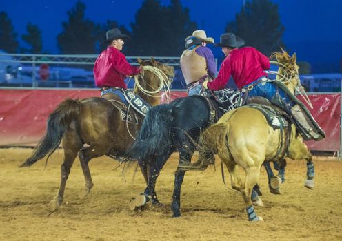 LOGANDALE , NEVADA - APRIL 10 : Cowboy Participating in a Bucking Horse Competition at the Clark County Fair and Rodeo a Professional Rodeo held in Logandale Nevada , USA on April 10 2014 