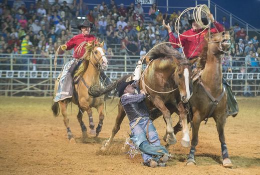 LOGANDALE , NEVADA - APRIL 10 : Cowboy Participating in a Bucking Horse Competition at the Clark County Fair and Rodeo a Professional Rodeo held in Logandale Nevada , USA on April 10 2014 