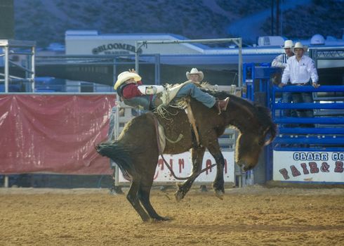 LOGANDALE , NEVADA - APRIL 10 : Cowboy Participating in a Bucking Horse Competition at the Clark County Fair and Rodeo a Professional Rodeo held in Logandale Nevada , USA on April 10 2014 