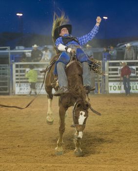 LOGANDALE , NEVADA - APRIL 10 : Cowboy Participating in a Bucking Horse Competition at the Clark County Fair and Rodeo a Professional Rodeo held in Logandale Nevada , USA on April 10 2014 