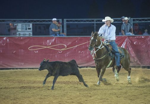 LOGANDALE , NEVADA - APRIL 10 : Cowboy Participating in a Calf roping Competition at the Clark County Fair and Rodeo a Professional Rodeo held in Logandale Nevada , USA on April 10 2014