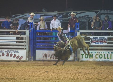 LOGANDALE , NEVADA - APRIL 10 : Cowboy Participating in a Bull riding Competition at the Clark County Fair and Rodeo a Professional Rodeo held in Logandale Nevada , USA on April 10 2014 