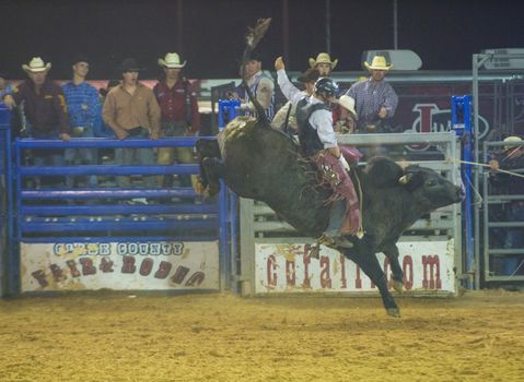 LOGANDALE , NEVADA - APRIL 10 : Cowboy Participating in a Bull riding Competition at the Clark County Fair and Rodeo a Professional Rodeo held in Logandale Nevada , USA on April 10 2014 