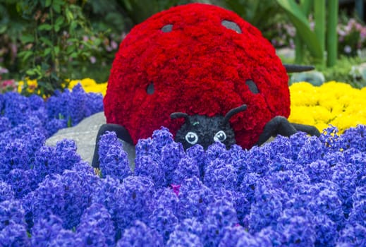 LAS VEGAS - April 11: Spring season in Bellagio Hotel Conservatory & Botanical Gardens on April 11, 2014 in Las Vegas. There are five seasonal themes that the Conservatory undergoes each year.