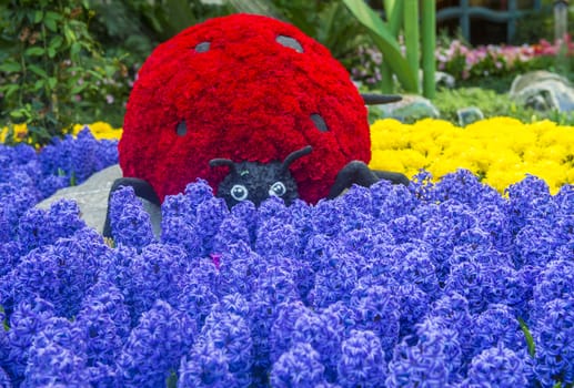 LAS VEGAS - April 11: Spring season in Bellagio Hotel Conservatory & Botanical Gardens on April 11, 2014 in Las Vegas. There are five seasonal themes that the Conservatory undergoes each year.