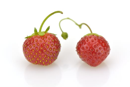 Close-up of two fresh strawberries on white background

