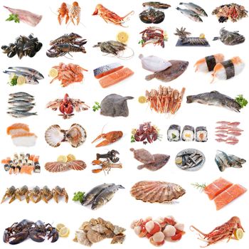 seafood, fish and shellfish in front of white background