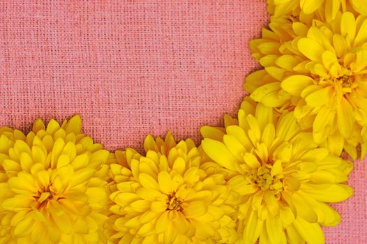 Frame of yellow flowers against a background of pink cloth