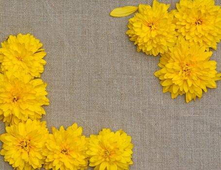 Frame of yellow flowers against a background of rough cloth