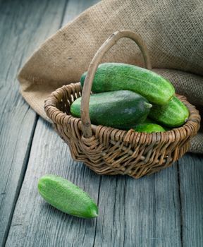 Harvest cucumbers in a basket on the wooden background